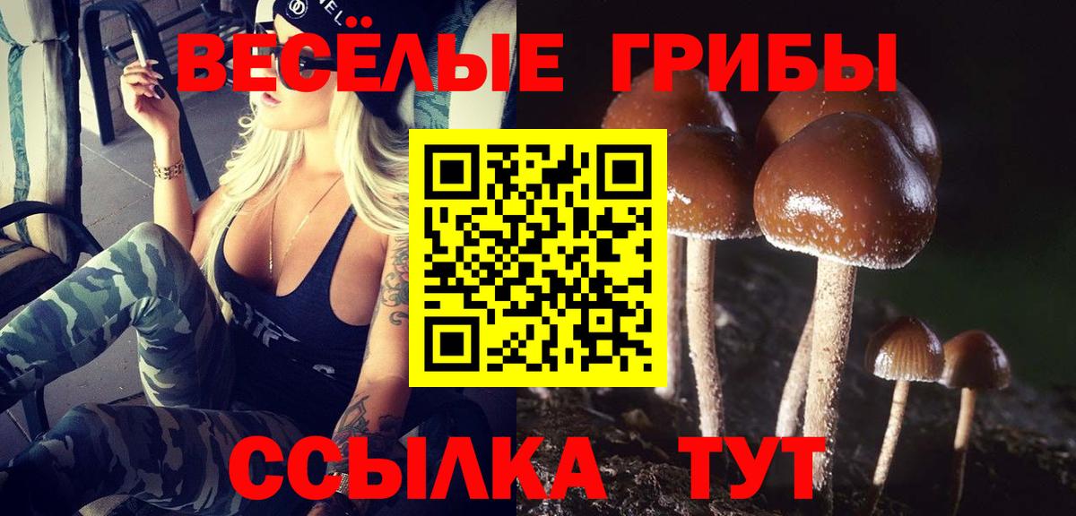 Псилоцибиновые грибы ЛСД  Псилоцибиновые грибы прущие грибы  закладки  Вход с VPN  Полевской 